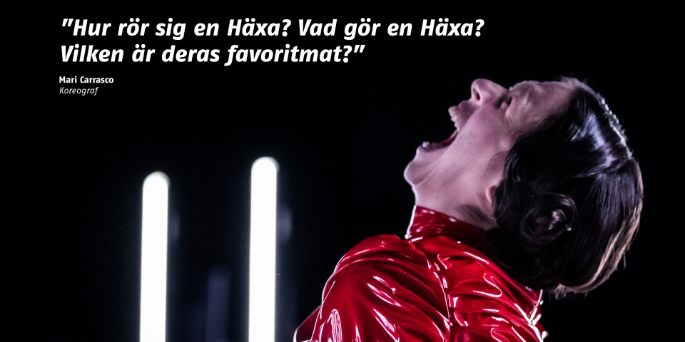 Haexor 2019HT Laerarhandledning 6